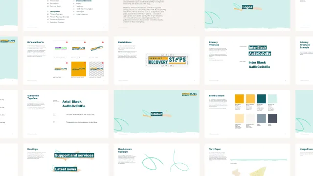 Barnsley Recovery Steps project screen 2