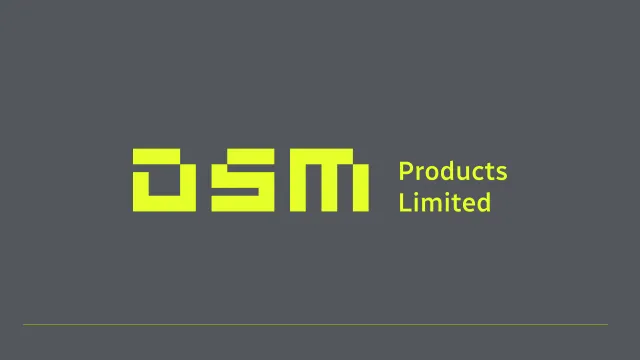 DSM project screen 1