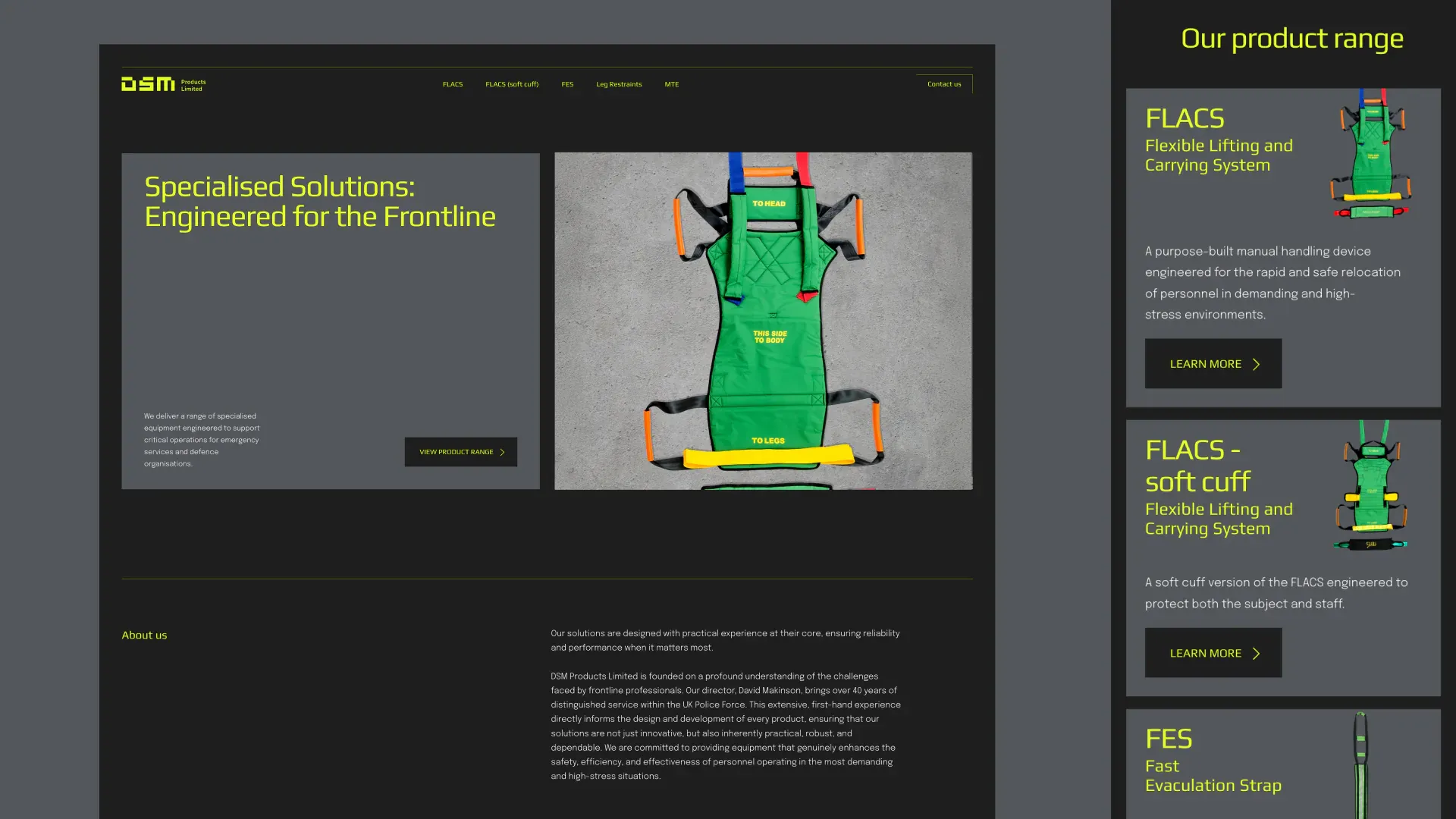 DSM website homepage and product range designs